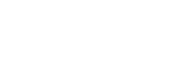 CEO Insights