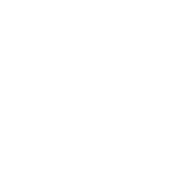 Women Economic Forum